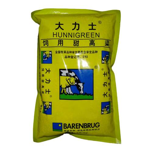 大力士甜高粱种子 正宗荷兰百绿集团进口牛羊鱼青贮 饲用牧草种籽