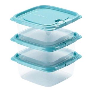 茶花塑料食品收纳盒冰箱冷冻保鲜盒食品级家用蔬菜水果盒野餐饭盒