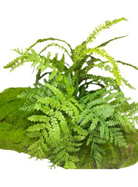 仿真植物室内造景绿植材料包邮