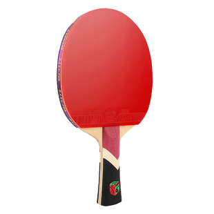 友谊729乒乓球拍官方旗舰正品学生初学者专用横拍直拍兵乓拍套装