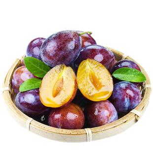新鲜现摘西梅 法兰西咖师西梅 孕妇宝宝布林李子水果礼盒纯甜多汁
