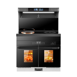 正品火星人雅时光纯电集成灶家用消毒柜一体蒸烤箱小公寓一电一陶