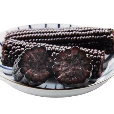 东北玉米新鲜现摘黏甜黑糯玉米软糯真空锁鲜农家自种粗粮代餐早餐