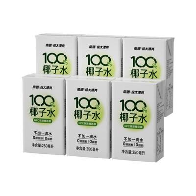 南国海南食品椰子水250ml*12