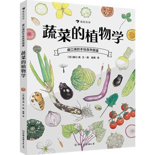后浪正版  蔬菜的植物学 盛口满的手绘自然图鉴 蔬菜科普任选 儿童插图科普百科绘本书籍