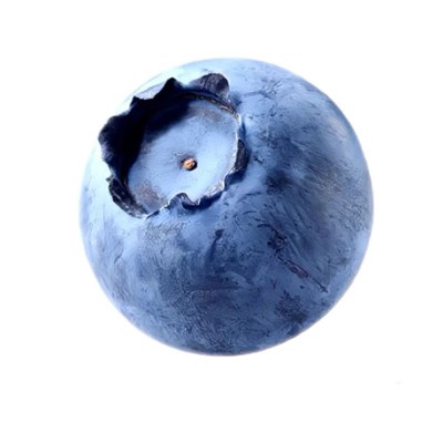 空运次日达超大蓝莓王L25花香