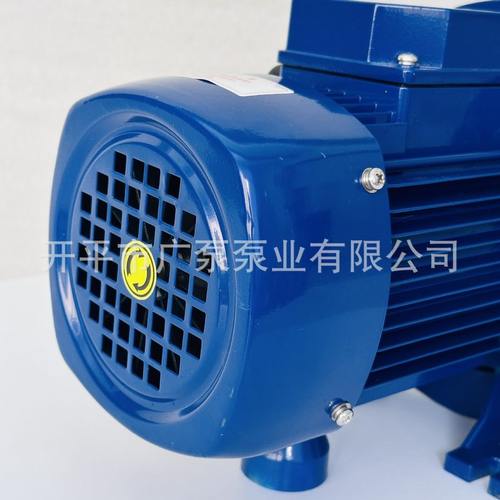 广东粤华泵BK200/300/400半开式叶轮不锈钢循环清洗泵污水处理泵