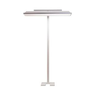 落地护眼大路灯全光谱教室灯学习灯阅读护眼灯防近视儿童专用台灯