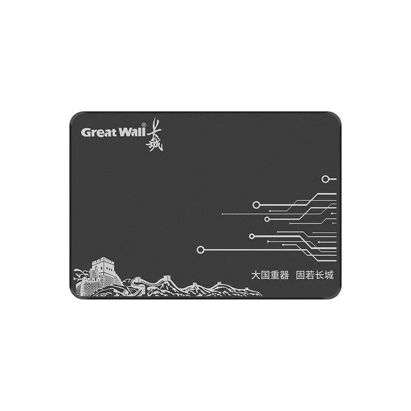 长城GW600全新256G512G固态硬盘