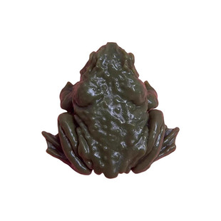 抖音同款癞蛤蟆捏捏乐真解压整蛊泄愤玩具青蛙恶搞送人金蟾玩偶