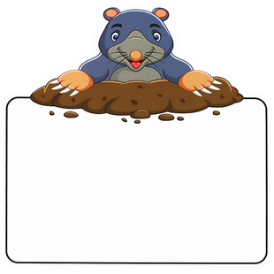 打地鼠识字游戏小学英语教具卡片可擦写幼儿学习课堂互动儿童认字