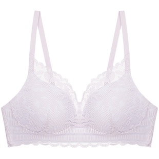 黛安芬专柜新款风格无忧舒适蕾丝内衣薄款透气无钢圈文胸11-1909