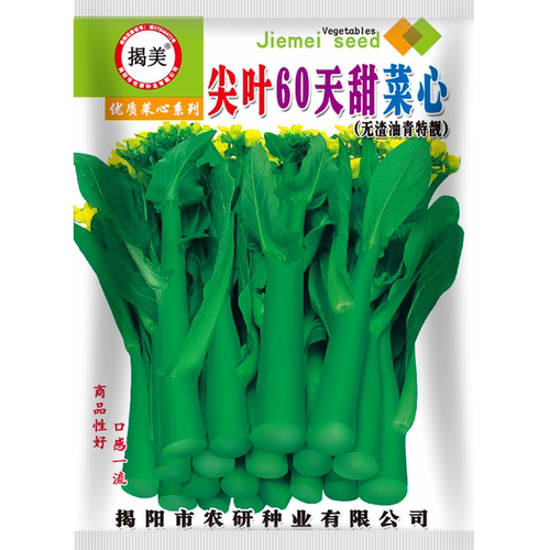 揭美尖叶60天甜菜心种子 甜脆无渣油青甜菜心 阳台农业蔬菜种子