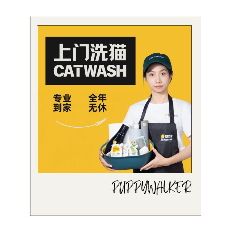 上门洗猫｜广州武汉多城市｜萌宠在家｜宠物上门洗护洗澡深层清洁