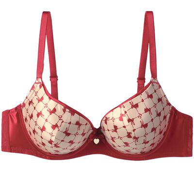 商场同款有钢圈萌兔红品小胸聚拢