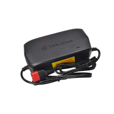 台铃电动车原装专用两孔铅酸充电器48V12AH60V72V20AH云插头公插