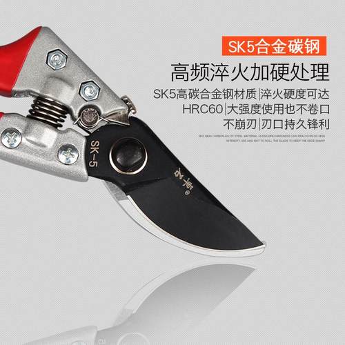 剪枝果树剪刀园艺修花剪园林修树枝省力家用采摘工具神器花艺剪刀