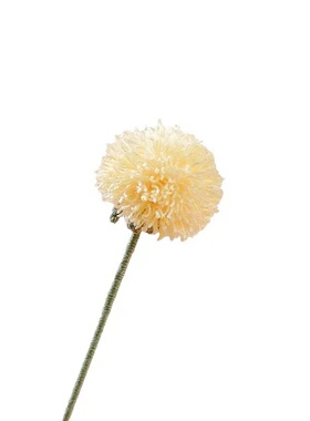 手工毛线编织蒲公英花束