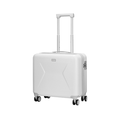 雷克萨斯纺锤形格栅横版旅行箱