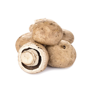 老一特卖 新鲜牛排菇500g褐菇波多黎各菌大牛排菇