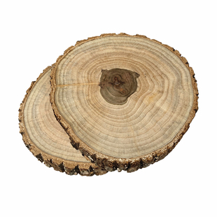 圆木樟树树桩原木高度木桩木柱梅花桩柱子展示陈列拍照道具装饰