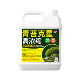 青苔清除剂水泥地面专用克星墙面苔藓去除绿清洁神器水池鱼缸浴室