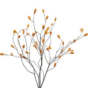 山野艺墅玉兰花干树枝长枝枯天然风干花枝禅意侘寂风客厅装饰摆设