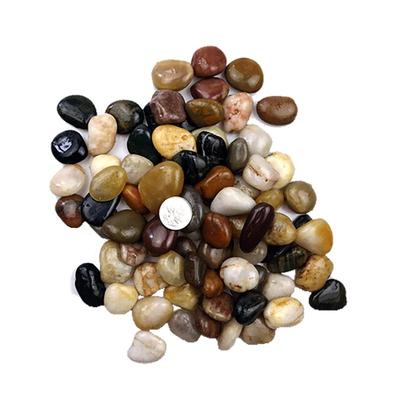 原生溪流石造景鱼缸鹅卵石底砂