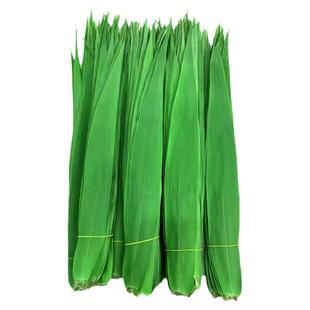 新鲜粽叶野生芦苇叶苏北洪泽湖农家现摘野生包粽子的叶