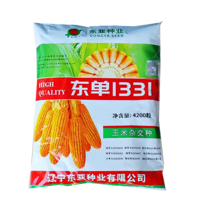东单1331玉米种子原装4400粒抗病