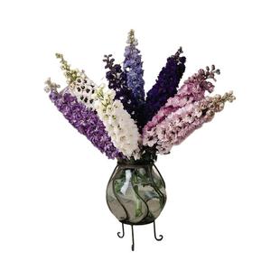 进口切花大花飞燕草种子 春秋播种耐寒宿根多年生花园花籽 花种籽