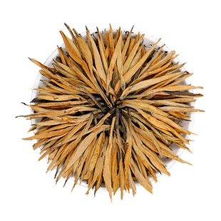 大金针滇红茶 特级  正宗云南凤庆 蜜香浓香型红茶叶春茶2024新茶