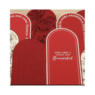 入户门地垫丝圈进门地毯大门口垫子除尘垫防滑好打理喜庆进户门垫