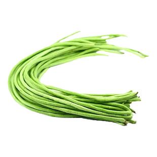 寿光蔬菜种高产豇豆种子荷兰青条四季绿春夏秋露地冬大棚籽菜种籽