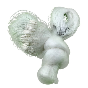 1指沾小白条单层粘网捕鲫鱼网沉底浮网进口丝渔网56789分挂子马口