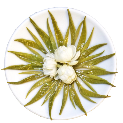 浓香耐泡横县茉莉花茶