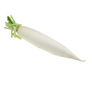农家新鲜大白萝卜芦菔非白萝卜叶子做五行蔬菜汤500g白萝卜