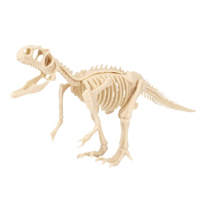 科学课考古挖掘儿童玩具恐龙化石