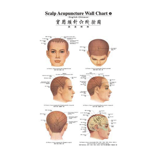 [11-11促销 外文书] 实用头针穴线挂图（德汉对照）9787117080262