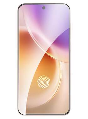 vivoX300Pro钢化膜支持超声波2片