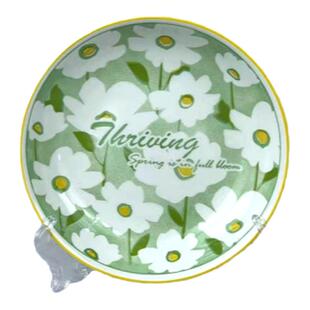 10只小盘子6.25英寸高颜值新款绿色花朵小盘子餐具家用陶瓷碟子