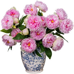 南十字星 重瓣芍药仿真花高品质牡丹轻奢高端假花客厅餐桌花摆件