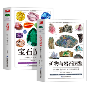 正版2册 矿物与岩石+宝石图鉴 110种宝石鉴赏大百科 矿石收藏爱好者矿石鉴别指南宝石原石图鉴特征收藏知识书籍 矿物岩石完全图鉴