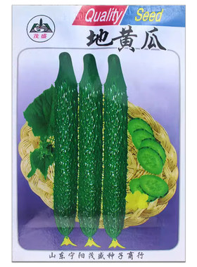 水果抗病四季播种黄瓜节节瓜种子