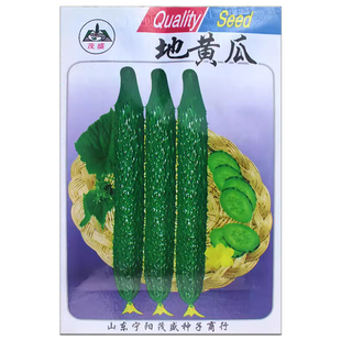 地黄瓜种子水果黄瓜节节瓜高产抗病长黄瓜地菜籽四季播蔬菜种子