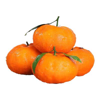 四川蒲江正宗明日见橘子柑橘皇后阿密斯脆甜嫩多汁入口化渣