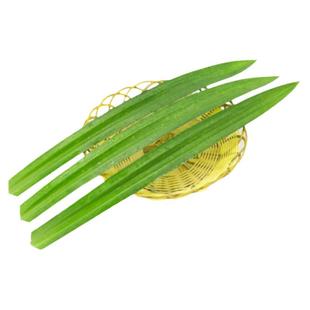 泰国品种农家新鲜斑斓叶香兰叶斑兰叶烘焙榨汁芒果糯米饭香料调料