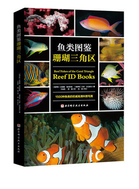 鱼类图鉴珊瑚三角区科普