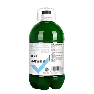 华畜小球藻藻种水产用浓缩藻种鱼虾蟹塘肥水培藻增氧水产养殖专用