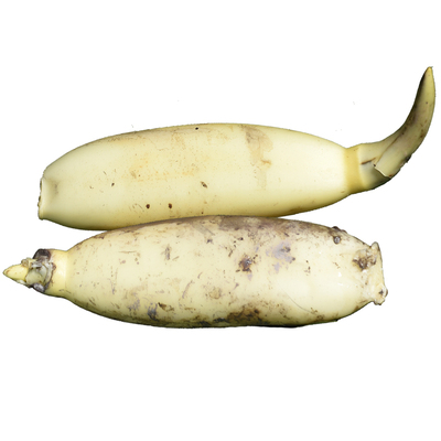 顺丰新花藕4斤生吃洪湖嫩莲藕